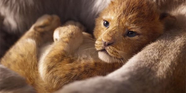 The Lion King cub Simba in Jon Favreau&#039;s 2019 movie