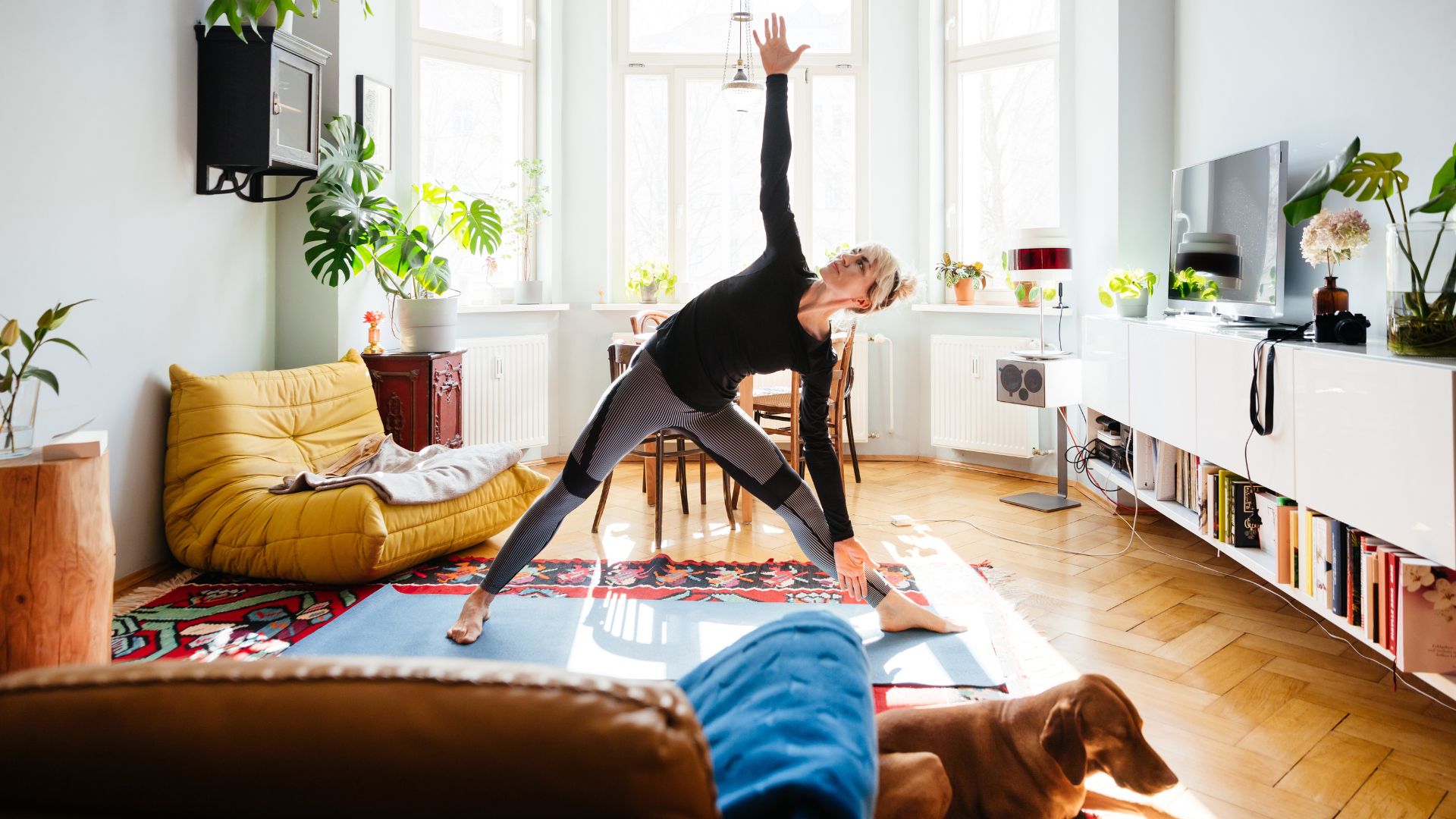 Woman doing yoga flows in living room on mat with dog