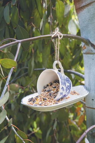 How to make a bird feeder