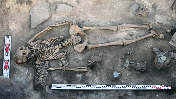 a human skeleton being excavated from an archaeological site in Russia