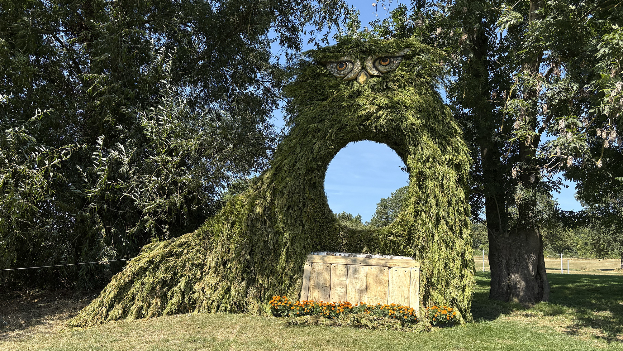 A view of a fence decorated to look like an owl from the landing side, on the eventing World Championships cross-country course