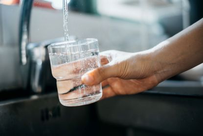 Person fills up cup with tap water.