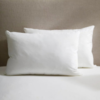 Comfort &amp; Support Pillow Pair | Was £30, now £21 at The White Company (save £9)