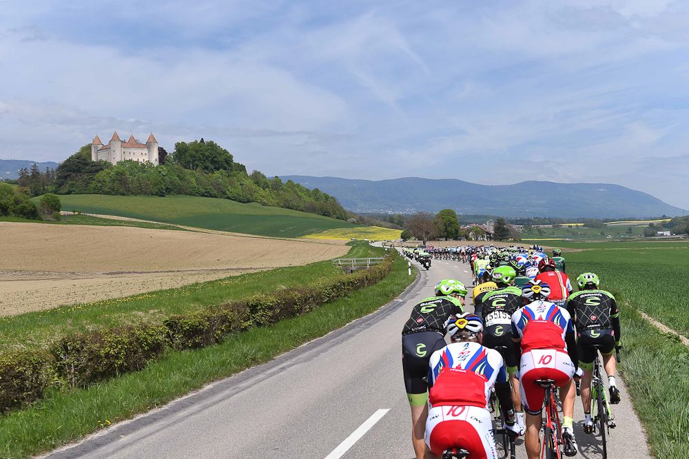 The pack rolls through the countryside.