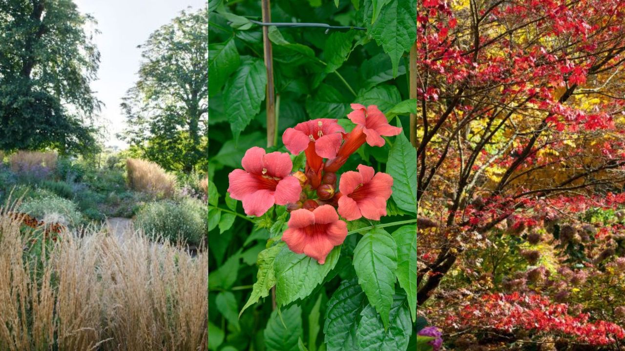 Fall garden planting