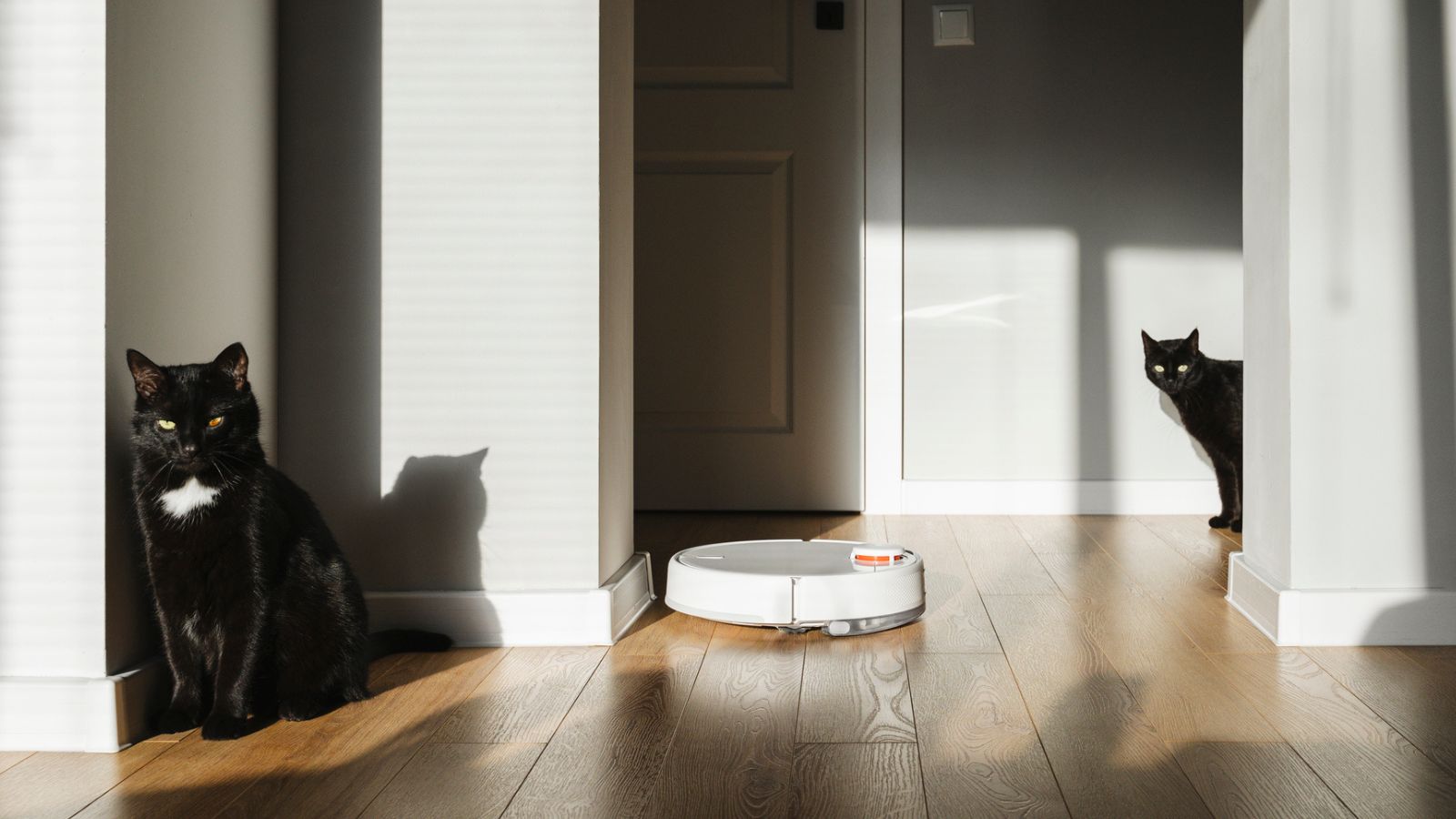 Best robot vacuum for pet hair 2024 tested by experts Homes & Gardens