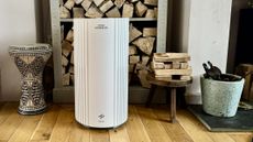 Coway Airmega 350 air purifier at home
