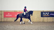 BHS-CONFERENCE-Definightly-01.jpg