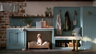 blue boot room area with seating, space for dog bed, panelled walls and sink