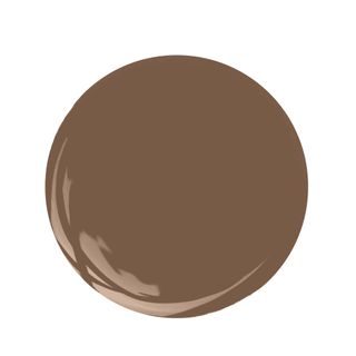 brown paint swatch