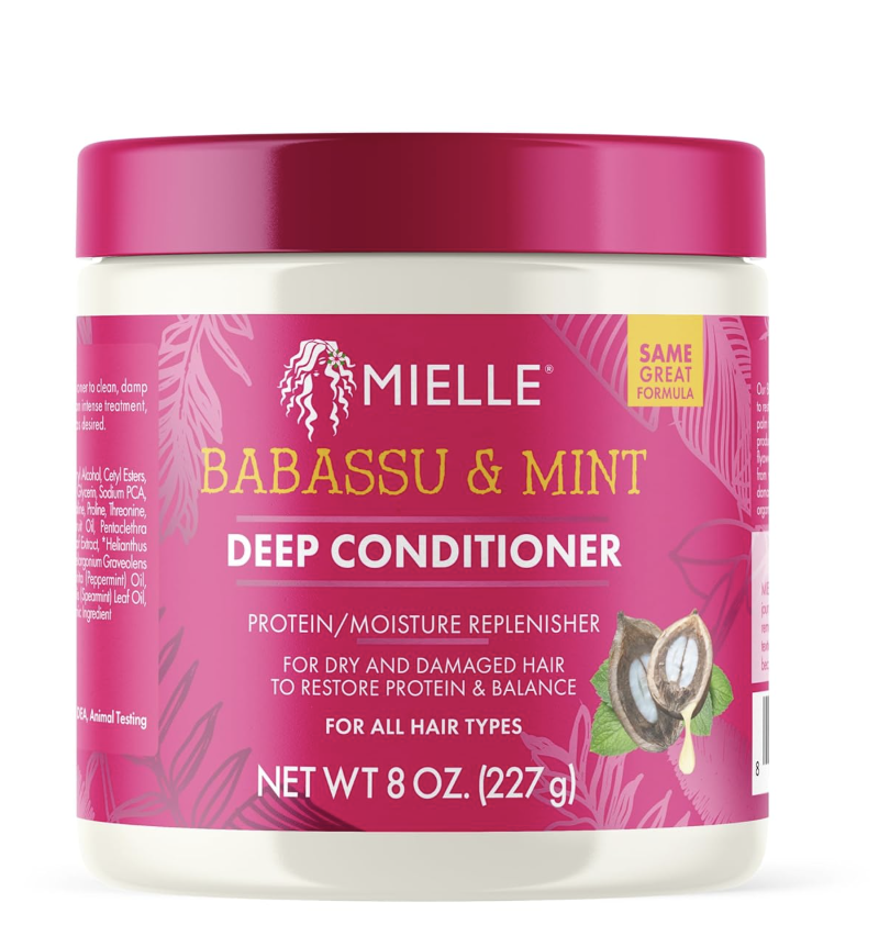 Mielle Organics Babassu &amp;amp; Mint Deep Conditioner With Protein, Moisturizing &amp;amp; Conditioning Deep Treatment, Hydrating Repair for Dry, Damaged, &amp;amp; Frizzy Hair (8 Oz)