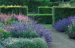 The garden at Scampston Hall. ©Val Corbett/Country Life Picture Library