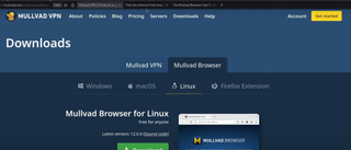 Website screenshot for Mullvad browser