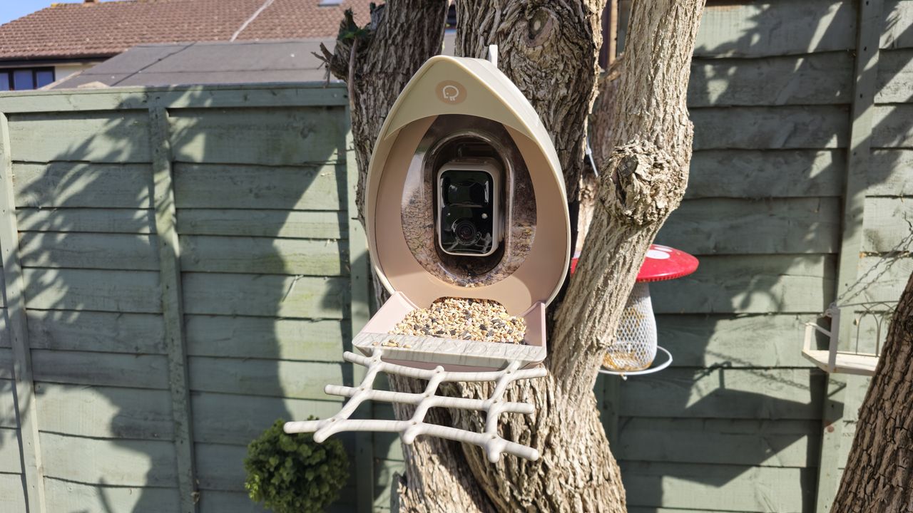 PeckPerk bird camera review