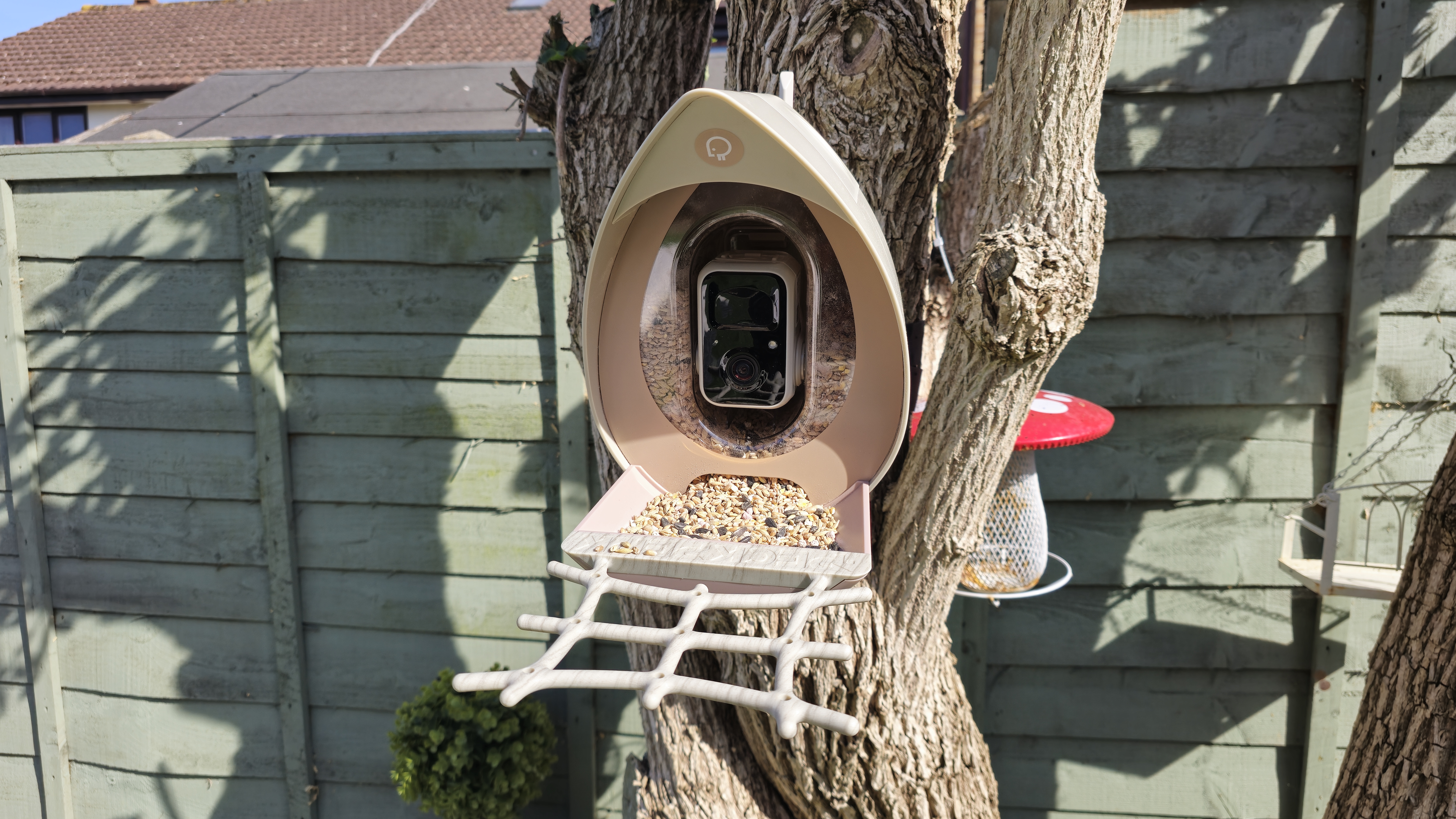 PeckPerk bird camera review