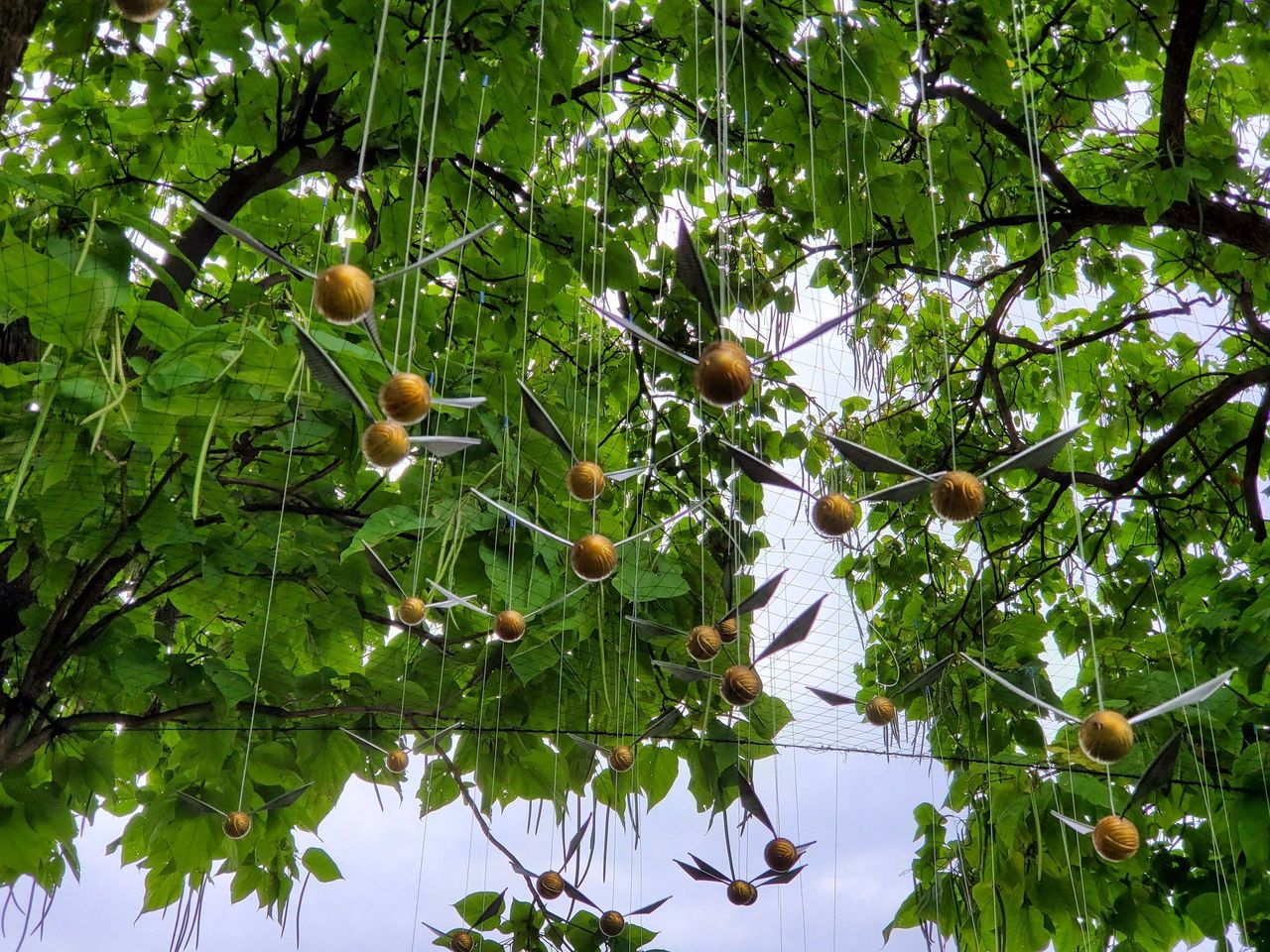 HPWU Fan Festival Golden Snitches in tree
