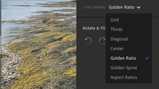 Photo of river and dropdown showing different crop options