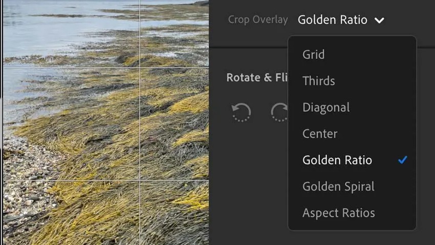 Photo of river and dropdown showing different crop options
