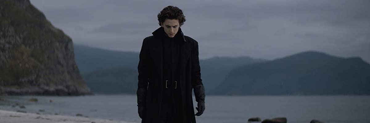 Timothee Chalamet in Dune