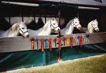 orchard-surry-team.jpg