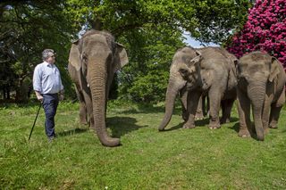 Duke of Bedford with his Elephants