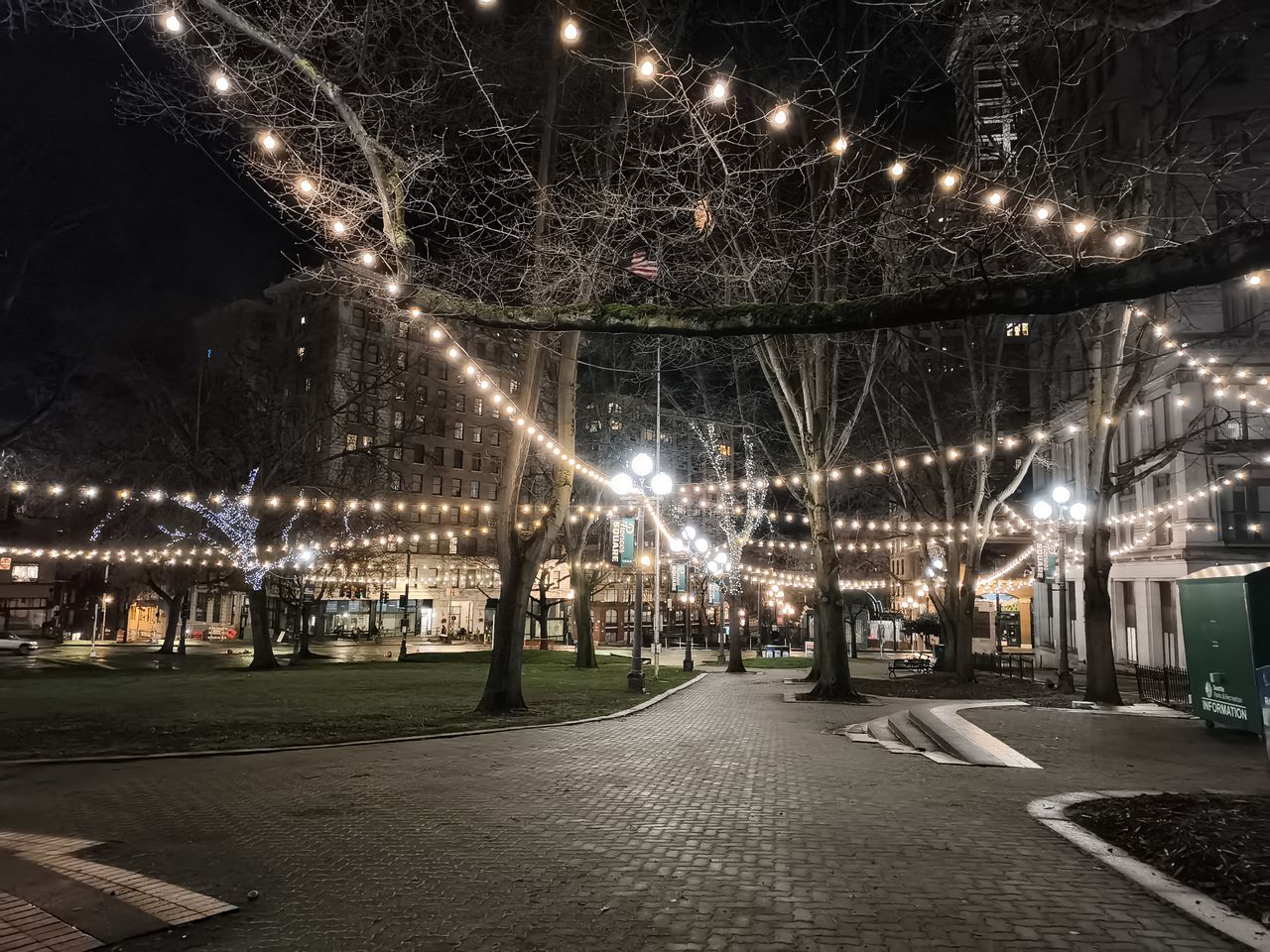 A park at night with bright lightbulbs hung between light poles