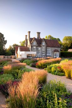 The garden at Park House, Harston, Cambridgeshire. Plumes of Calamagrostic x acutiflora ‘Karl Foerster’ weave through the flower garden with yellow whorls of Phlomis russeliana in the foreground. ©Richard Bloom