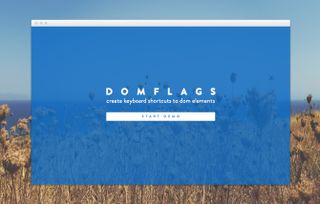Chrome extensions: DomFlags