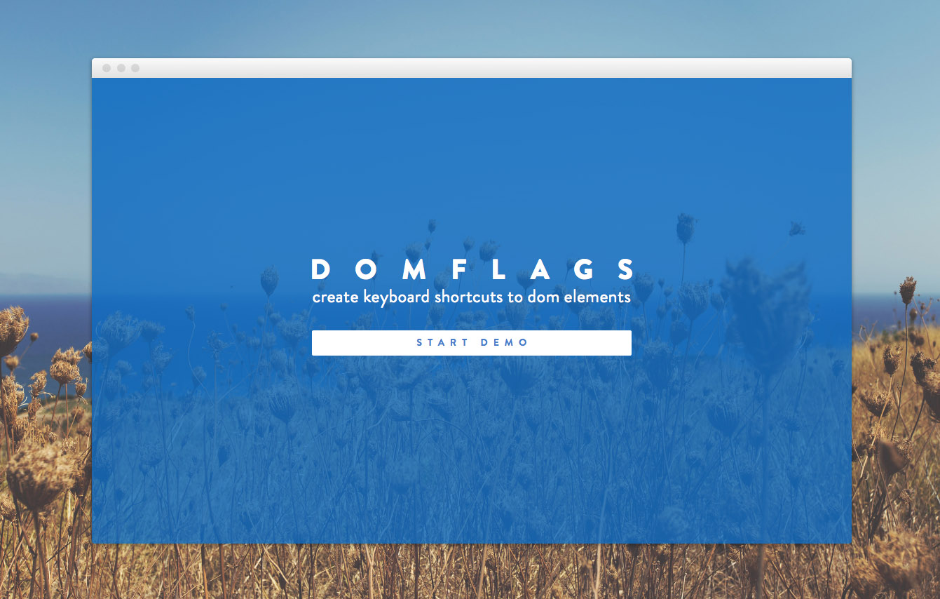 DomFlags website