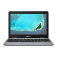ASUS Chromebook C223: $250
