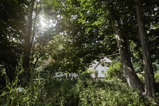The Vipp Farmhouse is barely visible through the thick greenery of its surroundings