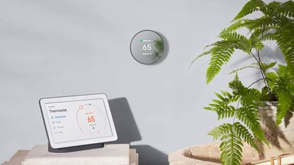 Google Nest Thermostat Snow