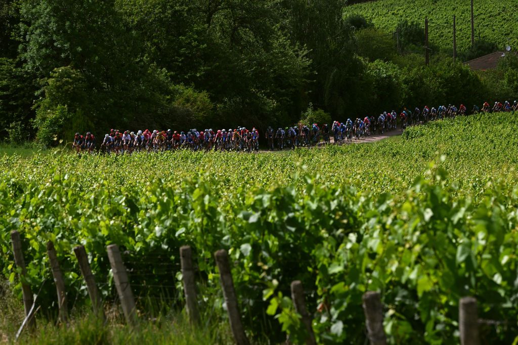 CHAINTRE FRANCE JUNE 09 A general view of the peloton beginning to climb the Cte de Vergisson 359m during the 74th Criterium du Dauphine 2022 Stage 5 a 1623km stage from ThizylesBourgs to Chaintr WorldTour Dauphin on June 09 2022 in Chaintre France Photo by Dario BelingheriGetty Images