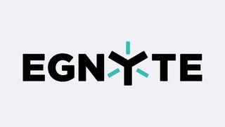 Egnyte logo