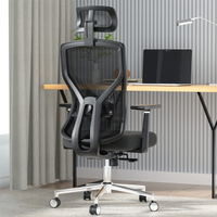 Molents Adjustable Computer Chair: