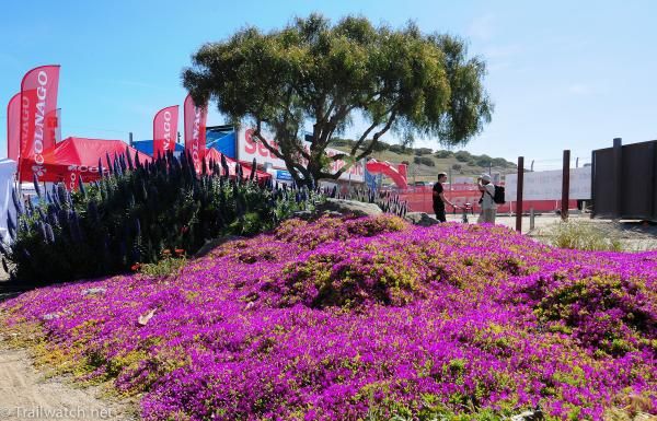 Springtime flowers are in bloom at Sea Otter