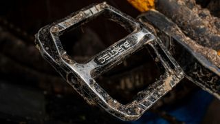 A well used MTB pedal