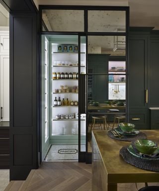 pantry ideas - Modern walk-in kitchen pantry