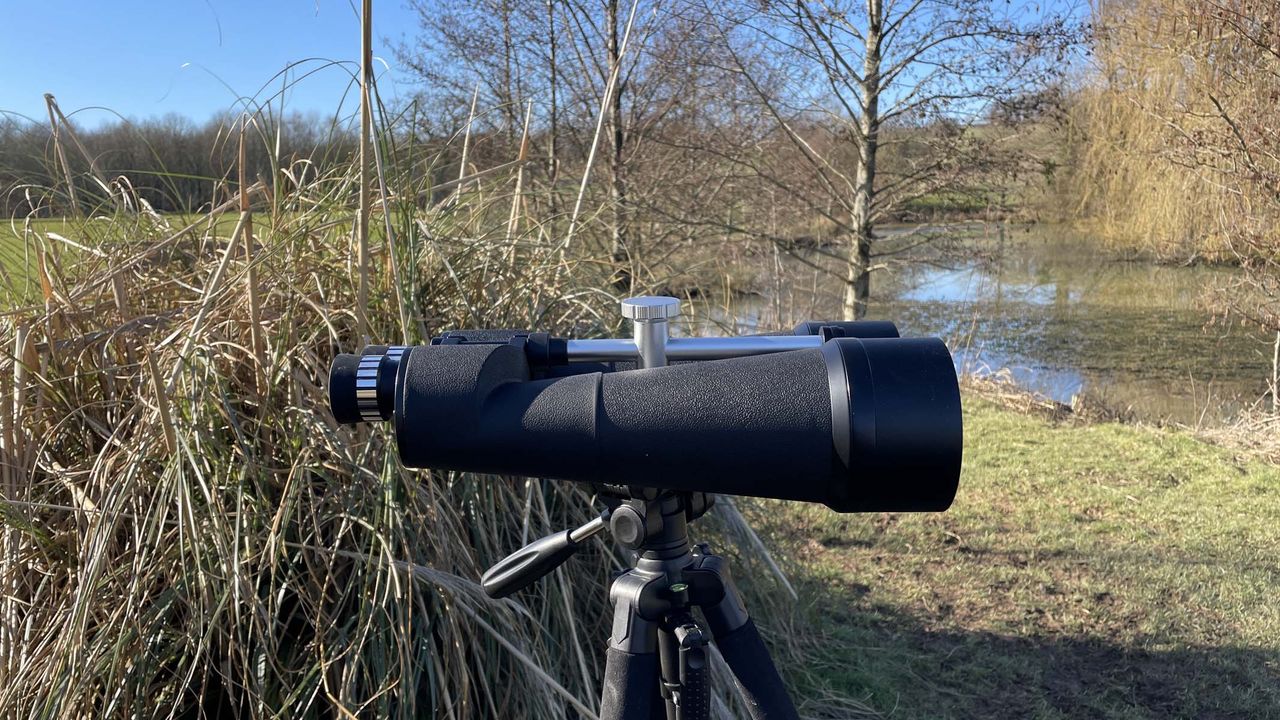 Celestron SkyMaster 25x100 on a tripod in a field