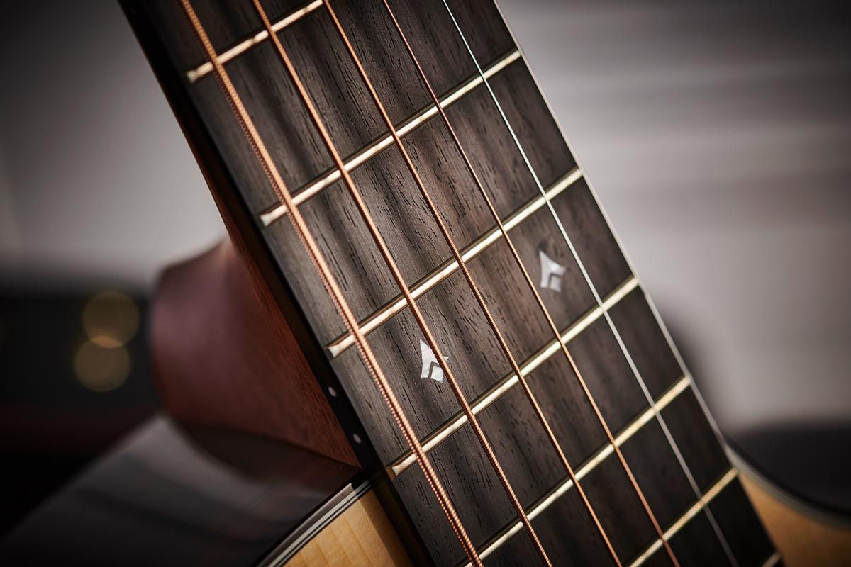 Breedlove Concertina CE