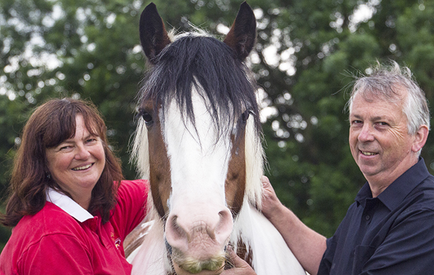 Vicky Jayne Yates, founder of the Non Ridden Horse Association with her husband and their Irish cob Kez