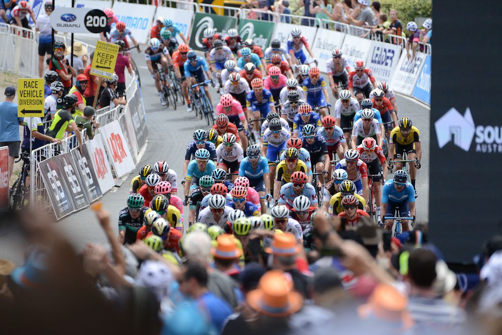The Tour Down Under peloton