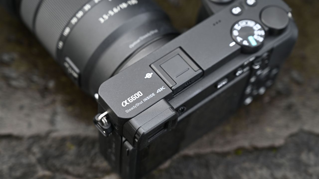 Sony A6600