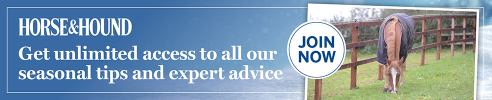 Winter advice