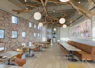 A science-inspired cafe features molecural-like murals throughout, spherical lighting in paper and wood, velvety seating, and wooden tables.