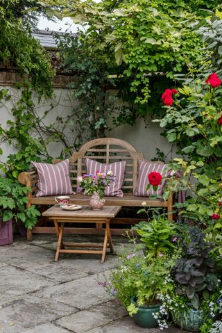 patio gardening ideas: bench with climbing plants over wall behind
