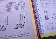 Farrier-drawings.jpg