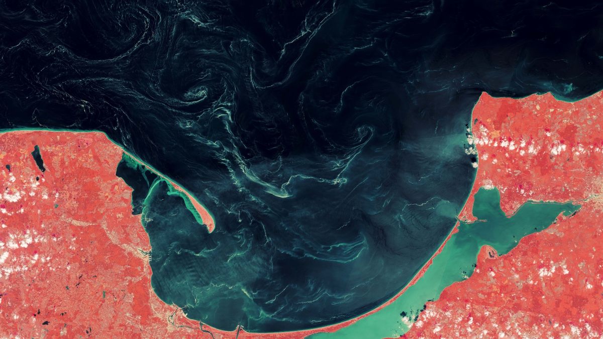 Mysterious substance spotted swirling across the surface of the Baltic Sea — Earth from space