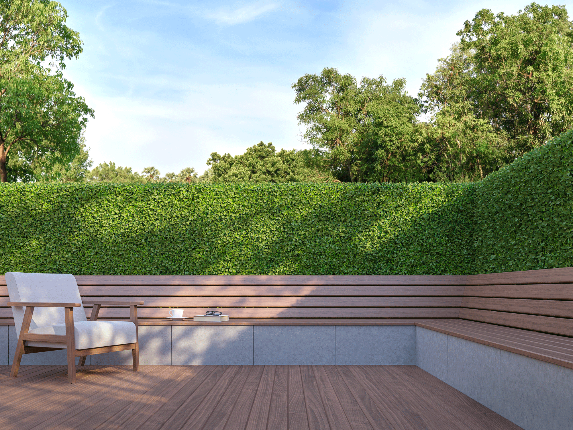 modern backyard design with green 'wall' planting