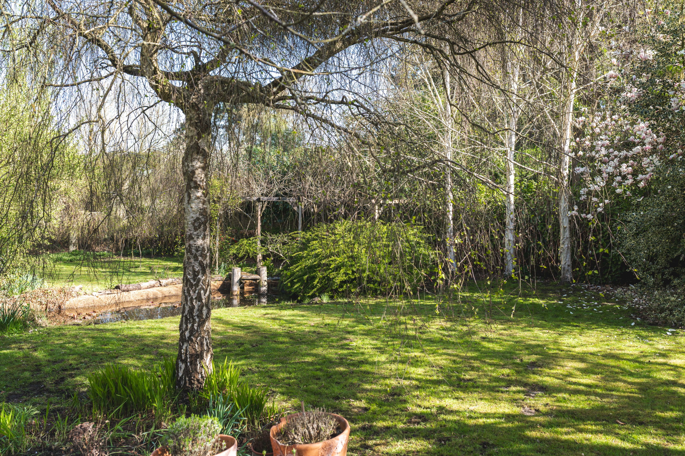 Images of Vine Cottage in Essex